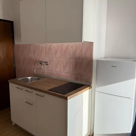 House Perkov דירה *